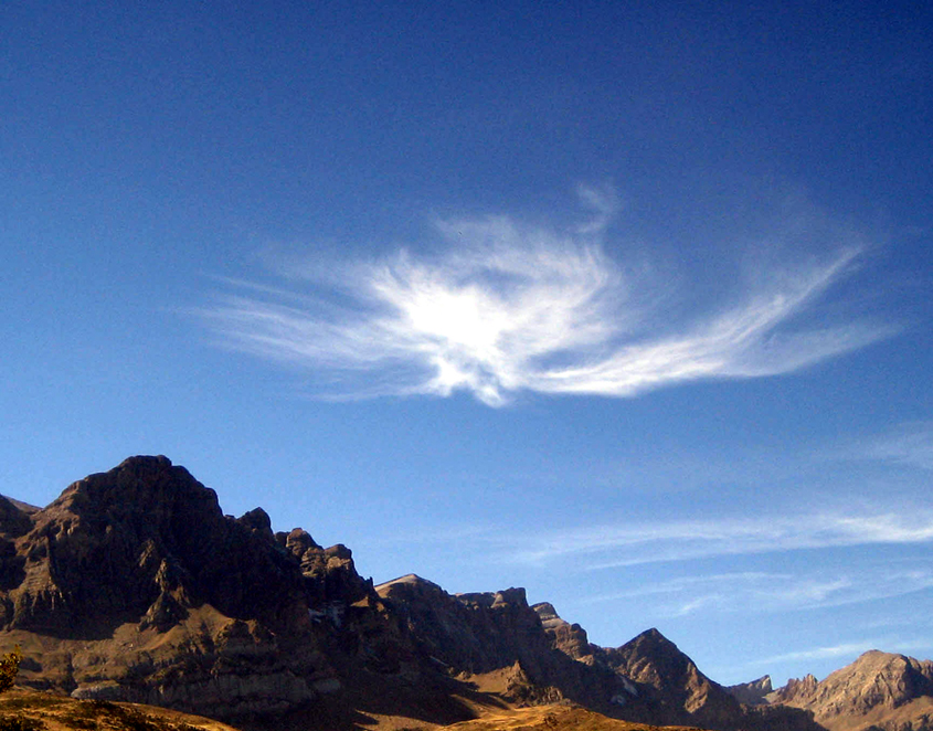 Dragon sylph Spanish Pyrenees